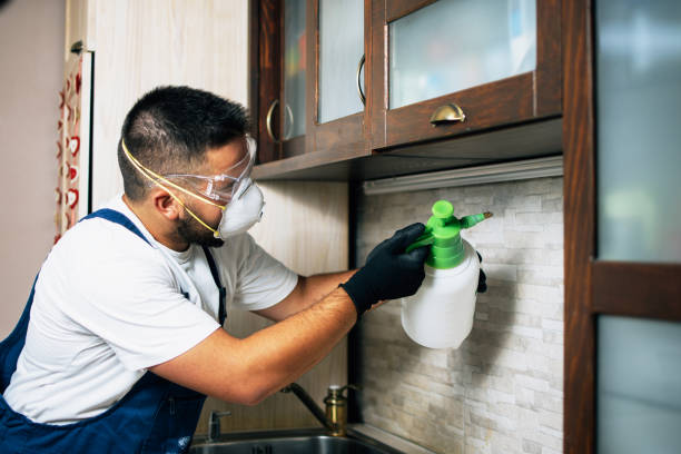 Best Pest Removal Services  in Lewiston, UT