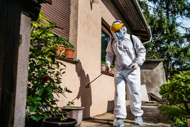Best Flea Control Services  in Lewiston, UT