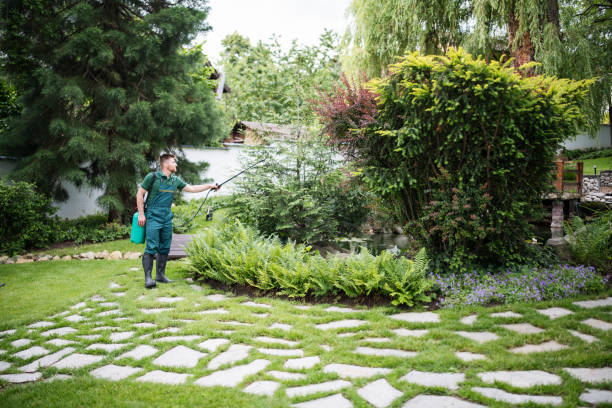 Best Pest Inspection Near Me  in Lewiston, UT