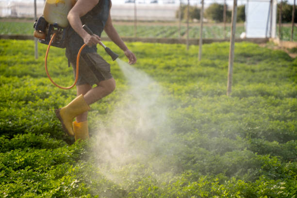 Best Affordable Pest Control Services  in Lewiston, UT