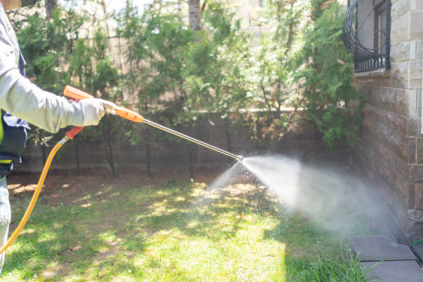 Best Best Pest Control Companies  in Lewiston, UT