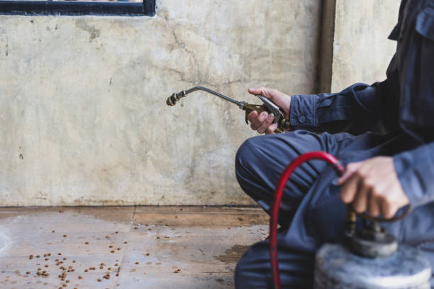 Best Rat Extermination Near Me  in Lewiston, UT